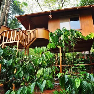 Planet Plantation Resorts, Wayanad, Kerala 3*, Kalpetta India